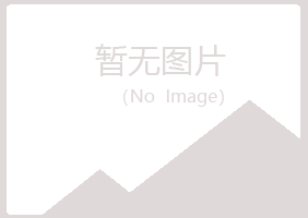 横山县忆伤工程有限公司